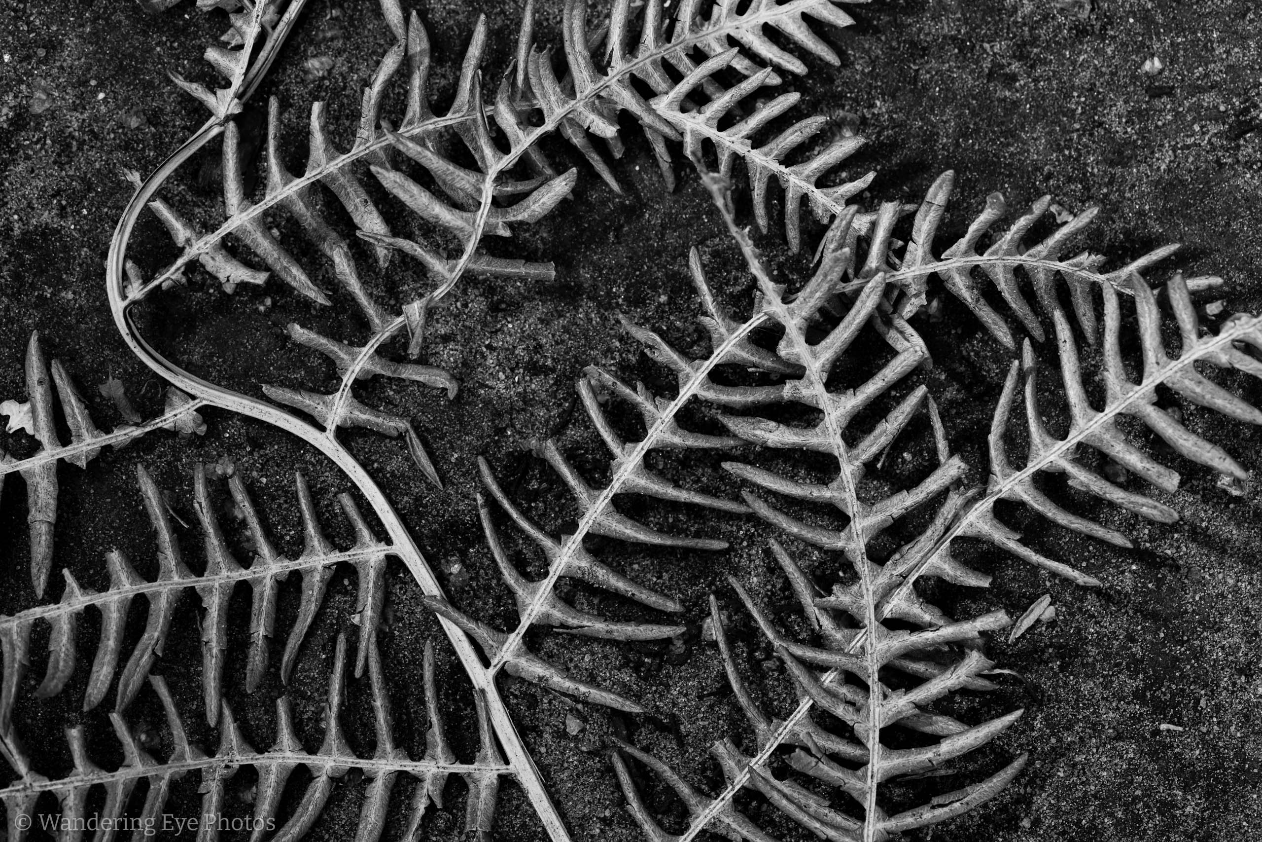 08.31 14.39.36   DSC02771